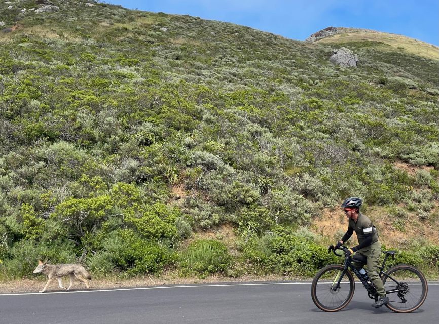 San Francisco: Marin Headlands Gravel Biking Tour +GG Bridge - Route and Itinerary