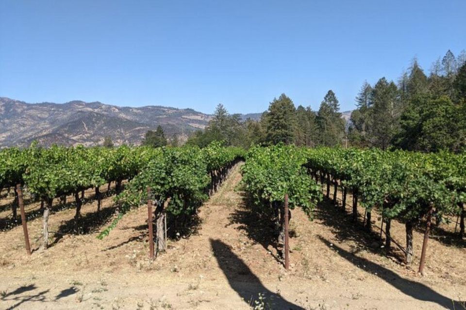 San Francisco: Napa and Sonoma Valley Private Wine Tour - Tour Inclusions and Exclusions