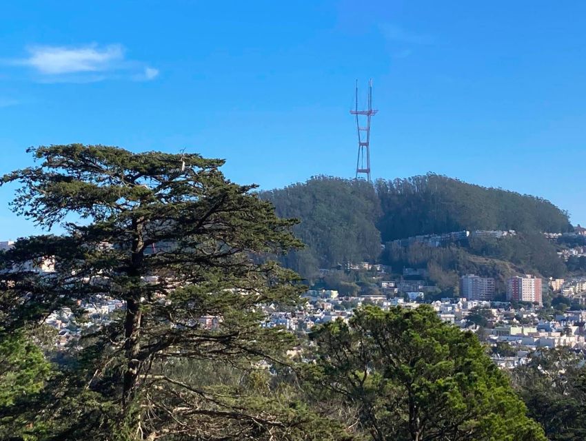 San Francisco: Secrets of Golden Gate Park Audio Tour - Volunteer-Driven Sanctuary