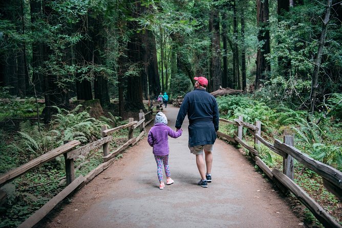 San Francisco Super Saver: Muir Woods & Wine Country W/ Optional Gourmet Lunch - Wine Country Experience