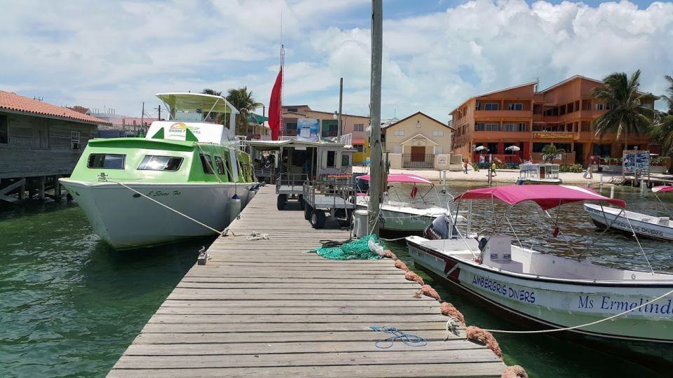 San Pedro: Guided Family Walking Tour - Highlights of the Tour