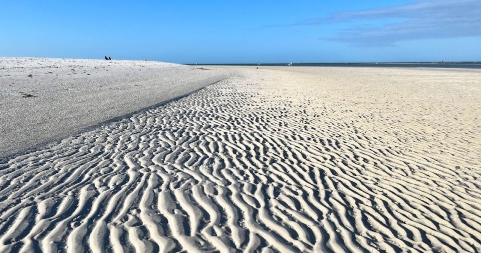 Sand Bar Shelling Tour - Tour Experience