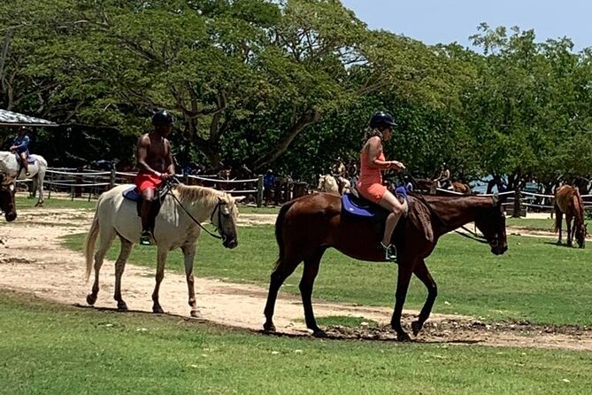 Sandy Bay Full-Day Private Adventure With Horseback Ride - Transportation and Pickup