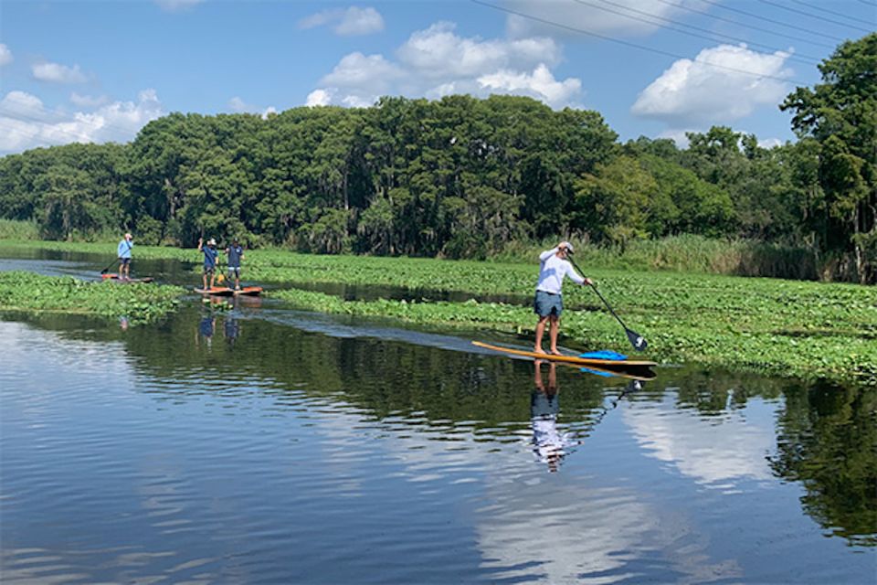 Sanford: Guided SUP or Kayak Manatee-Watching Tour - Paddle Through Scenic Cypress Groves