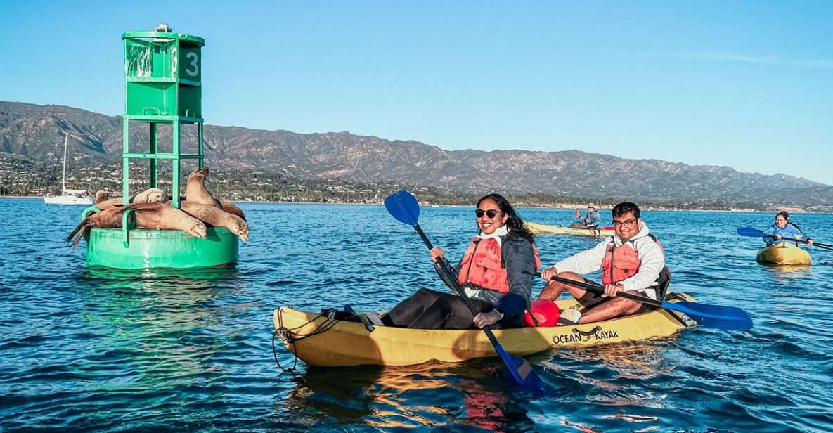 Santa Barbara: Guided Kayak Wildlife Tour - Booking Information