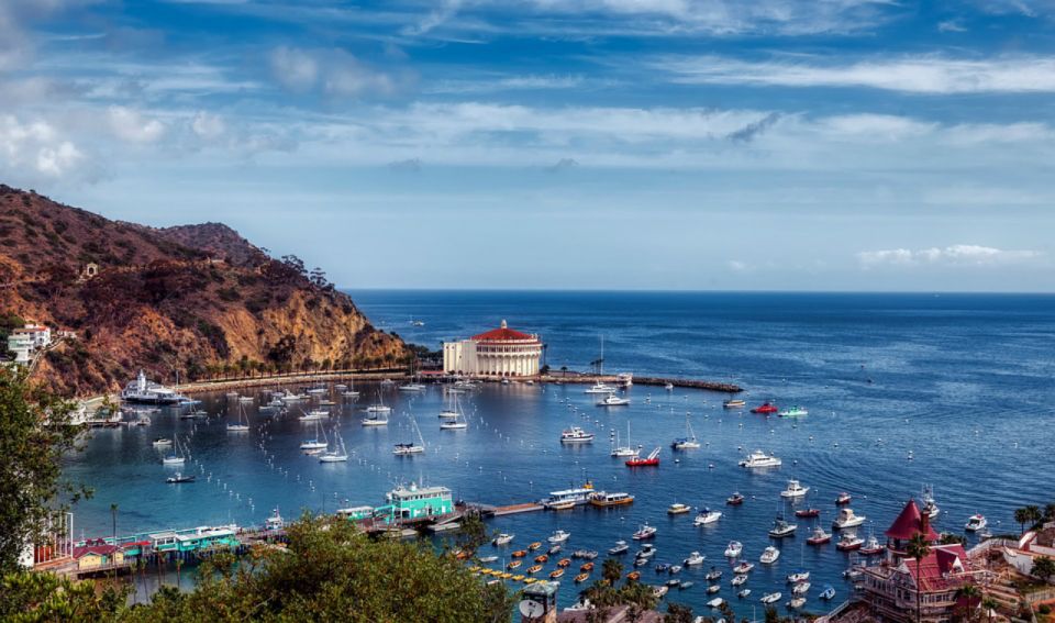 Santa Catalina Island: Nautilus Semi-Submarine Cruise - Highlights of the Experience