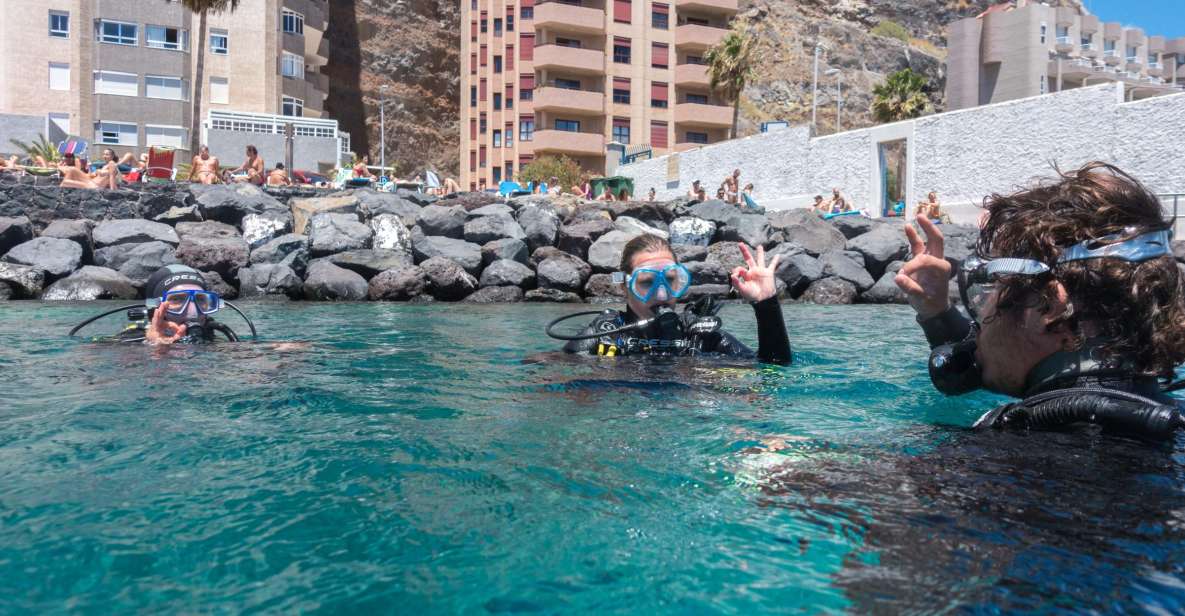 Santa Cruz De Tenerife: PADI Introductory Dive - Discover Scuba Diving Program