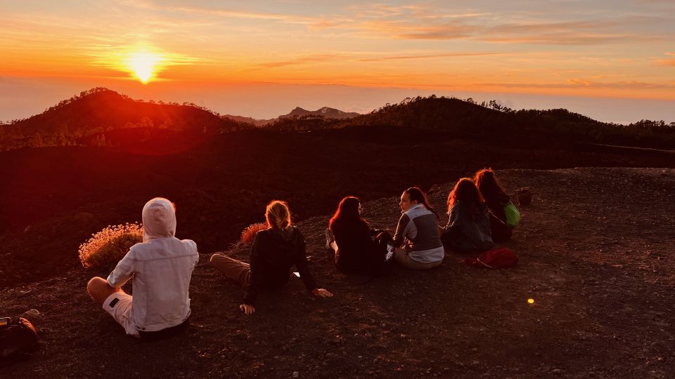 Santa Cruz De Tenerife: Private Teide National Park Tour - Highlights of the Tour