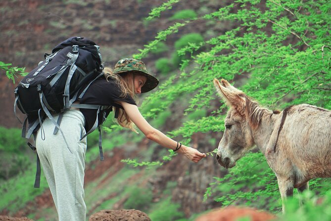 Santiago Island: 4-Hour Calabaceira Valley Hike & Guided Tour to Cidade Velha - Inclusions