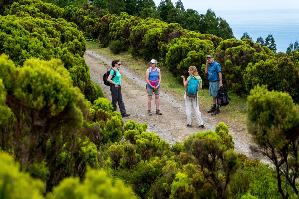 Sao Miguel: Full-Day Hike to Lagoa Do Fogo - Itinerary