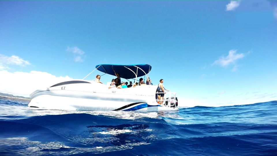 São Miguel: Glass Bottom Boat Tour With Snorkeling - Discover Marine Life