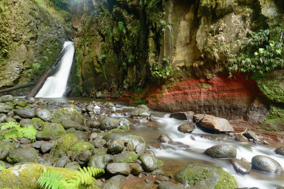 Sao Miguel: Salto Do Cabrito Guided Canyoning Experience - Exploring the Salto Do Cabrito Canyon