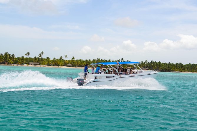 Saona Island Day Trip + Lobsters Included - Reviews and Feedback