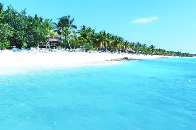 Saona Island Full-Day Cruise, Natural Pool and Lunch - Exclusions