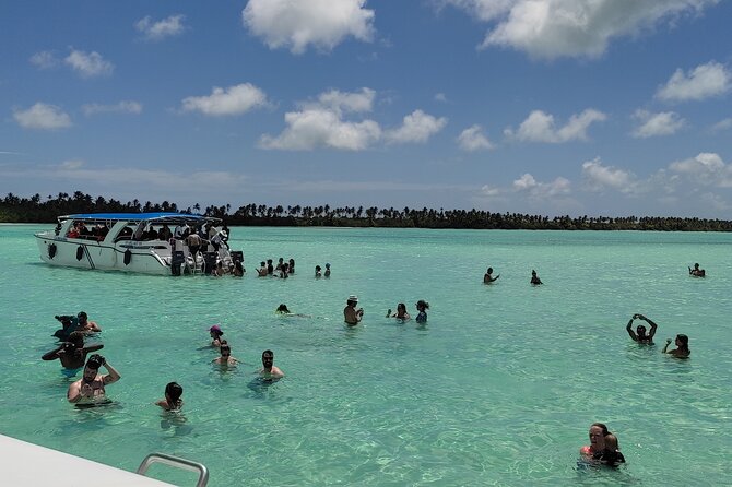 Saona Island Full Day From Punta Cana - Itinerary and Activities