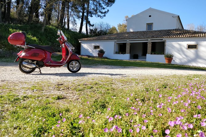 Savour The Flavors Of Corfu Vespa Scooter Tour - Highlights of the Tour