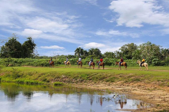 Scenic Horseback Riding Tour From San Juan - Meeting and Pickup