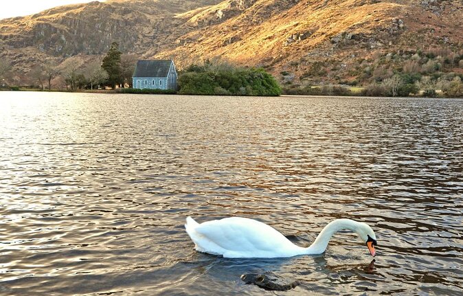 Scenic West Cork to Mizen Head Departing From Cork City. Guided. Full Day - Meeting and Pickup