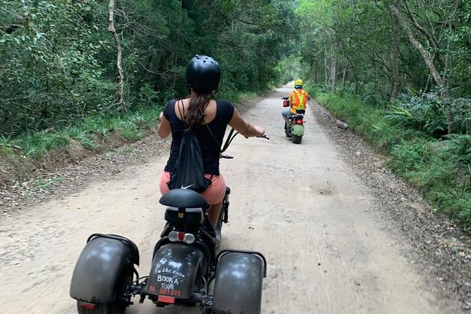 Scooter Tours Through Tsitsikamma National Park - Scooter Rides Through Rainforest