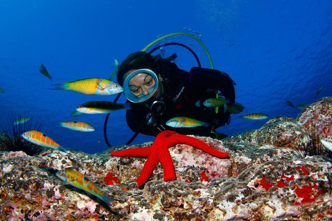 Scuba Diving Baptism in Caleta De Fuste - Location and Surroundings