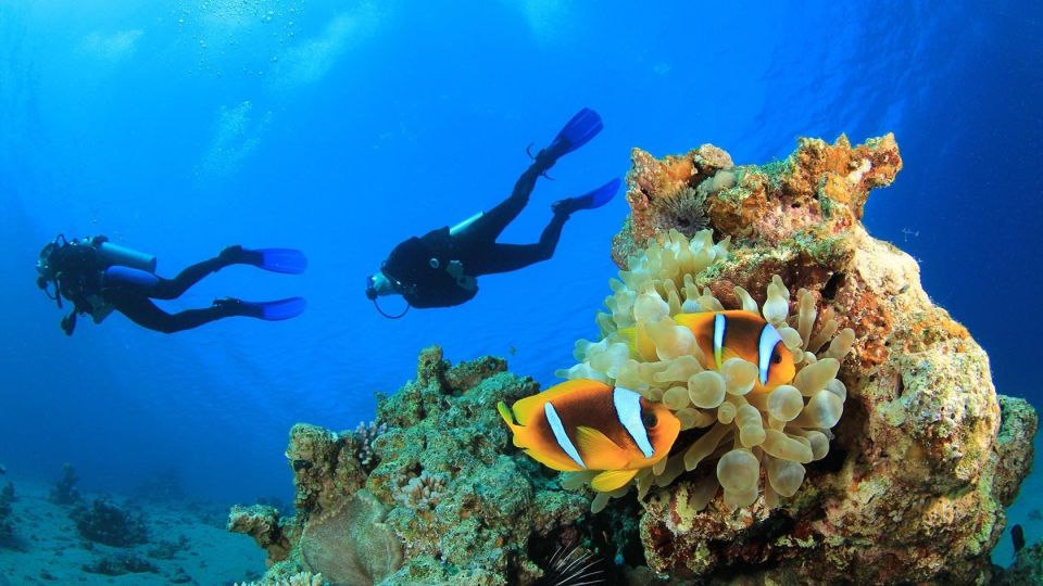 Scuba Diving: Explore the Depths of Alanya - Inclusions