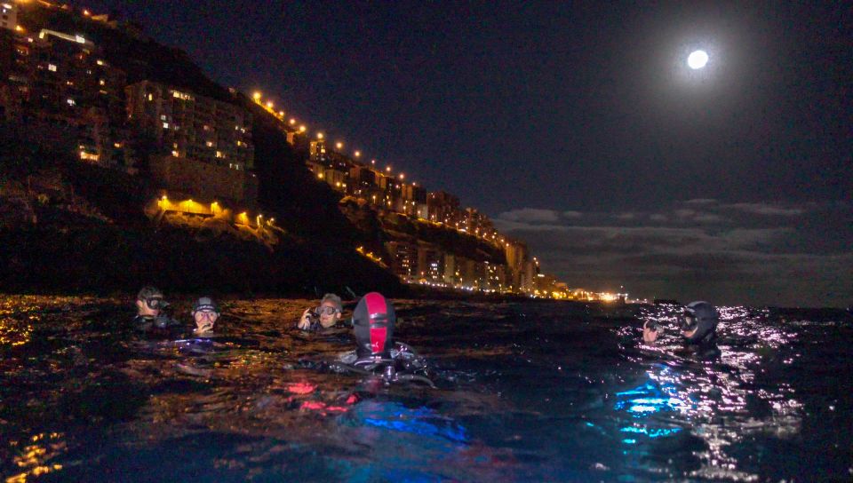 Scuba Night Dive on Tenerife - Experience and Highlights