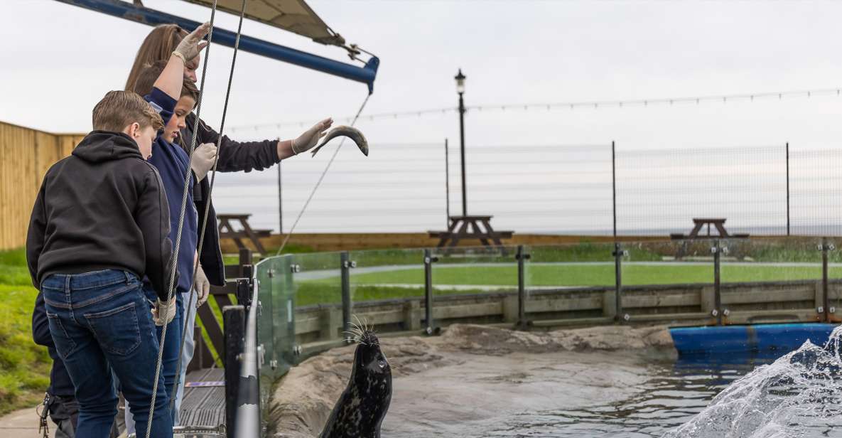 Sea Life Scarborough - Exhibits and Activities