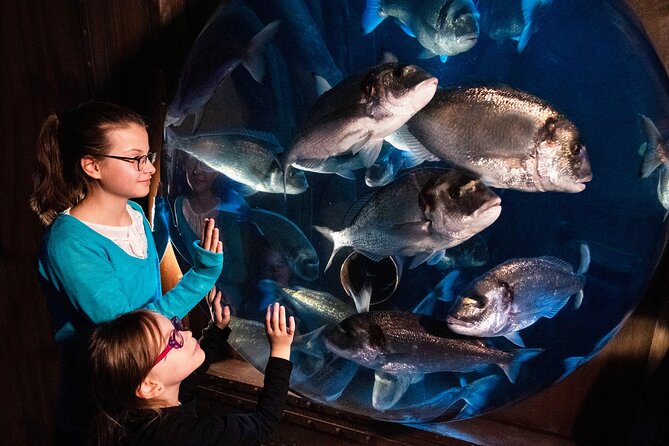 SEA LIFE Speyer Admission Ticket - Admission and Booking Details