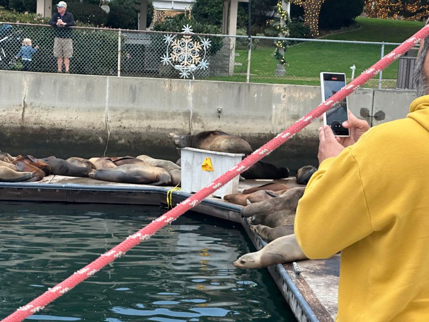 Sea Lion Excursion - Experience Highlights