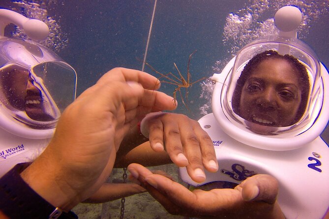 Sea Trek Helmet Dive at Coral World Ocean Park - Included in the Experience