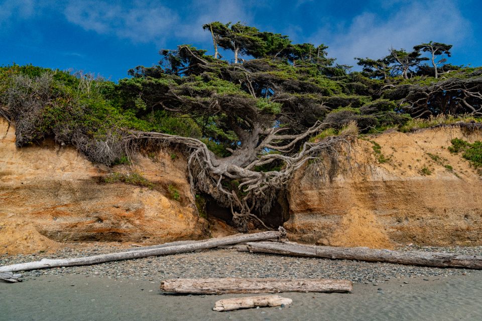 Seattle And Olympic NP Self-Guided Audio Bundle Tour - Seattle Highlights