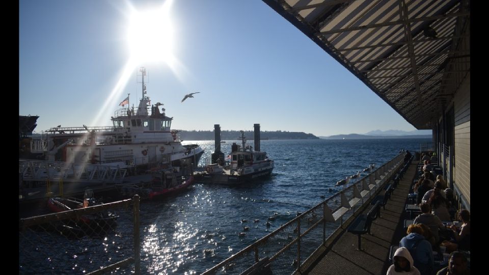 Seattle: City Walking Tour With Local Guide - Scenic Waterfront Vistas