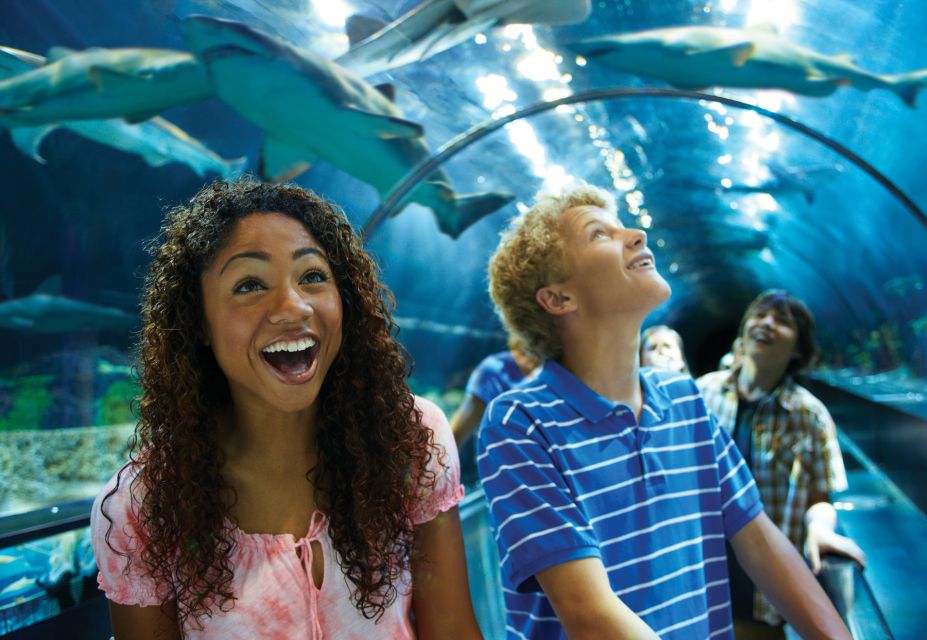 SeaWorld Orlando: Park Admission Ticket - Ticket Booking Options