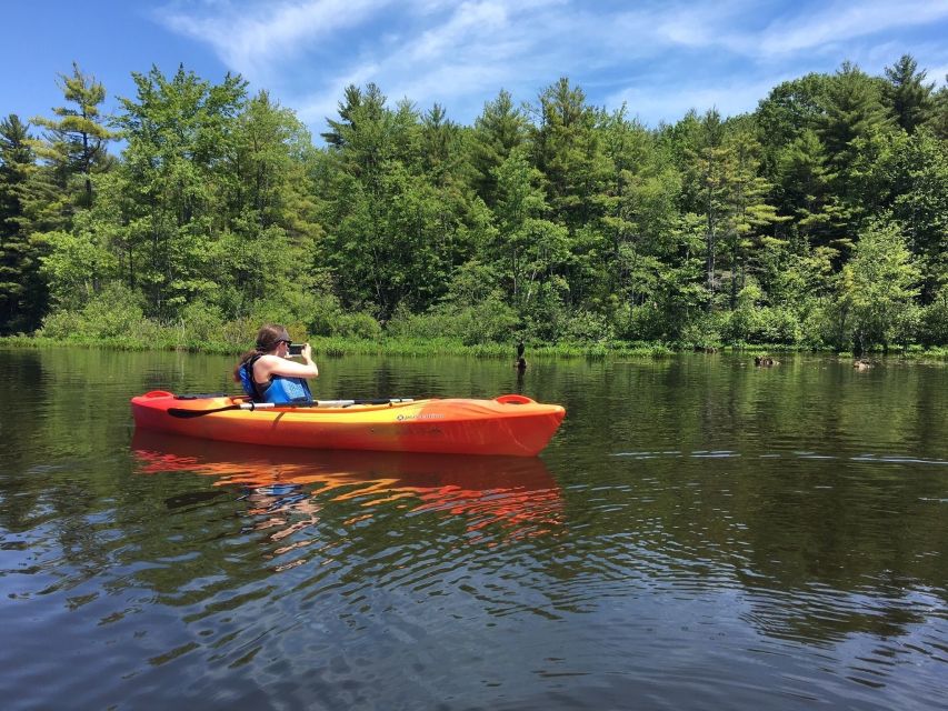 Sebago Lake: Half-Day Kayak Rental - Experience Highlights