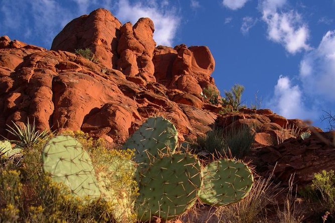 Sedona Outback Trail Jeep Adventure - Inclusions and Meeting Information