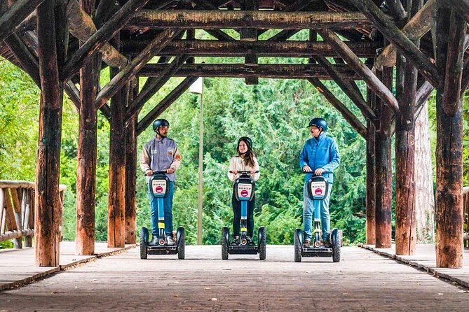 Segway Grand Tour of Lyon - 2-hours - Included in Tour