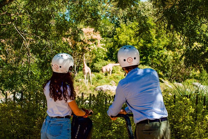 Segway Tour by ComhiC - 2h00 Head of Gold Park - Age and Weight Restrictions