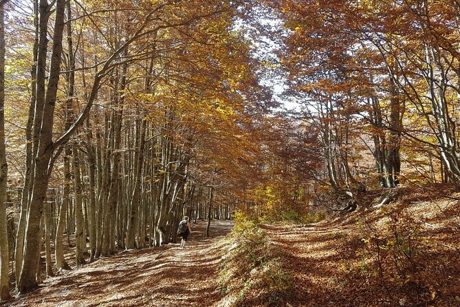 Self-Guided: Hiking Tour of Theth, Valbona & Koman Lake in 6 Days - Physical Fitness and Accessibility