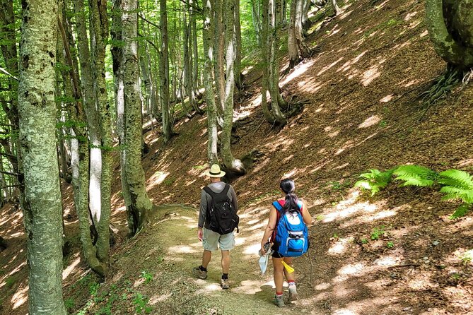 Self-Guided Hiking Tour: Theth, Valbona & Koman Lake in 3 Days - Included in the Tour