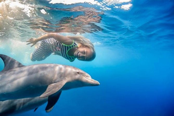 Semi PRIVATE Speedboat Swim With Dolphins Sea Trip From Hurghada - Additional Charges