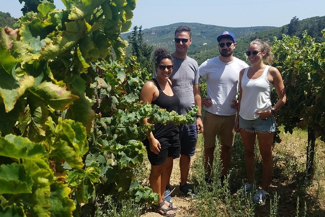 Semi-Private Wine Discovery Tour in Chania - Islands Winemaking History