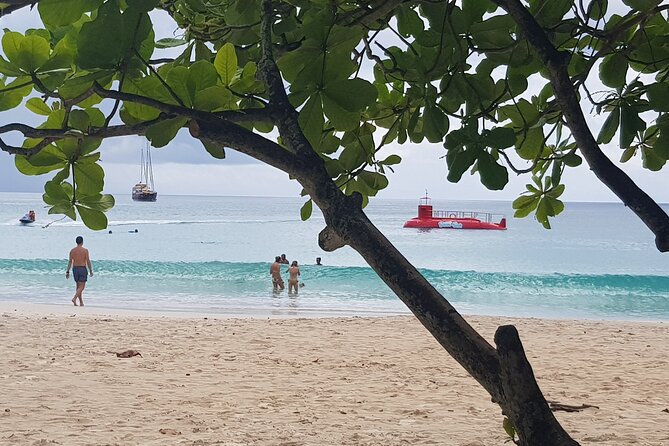 Semi Submarine Tour in Saint Anne Marine National Park - What to Expect