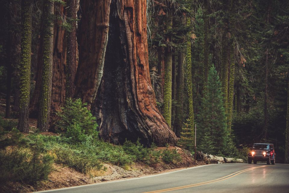 Sequoia: Kings Canyon Self-Driving Audio Guide - Tour Highlights and Experiences