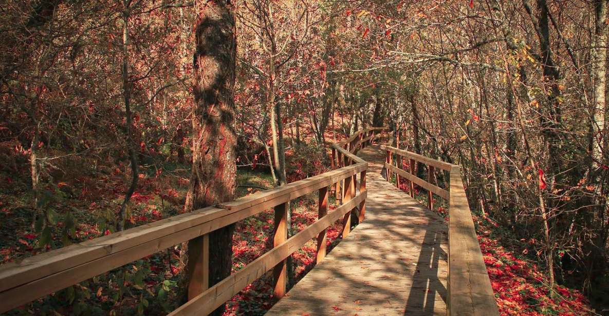 Serra Da Estrela: Valleys, Waterfalls, and Mysticism - Private Tour - Booking Information