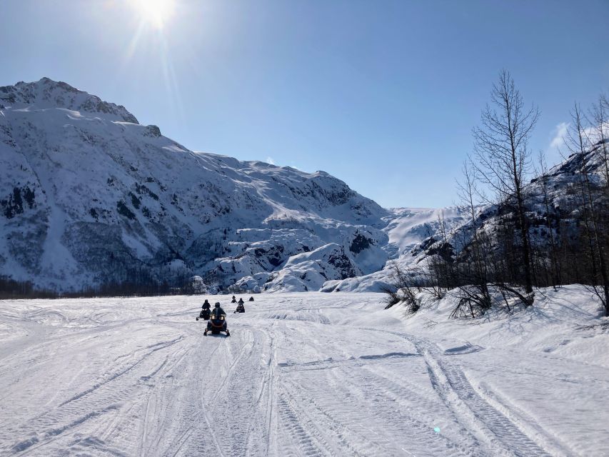 Seward: Kenai Fjords National Park Guided Snowmobiling Tour - Smooth Gliding Through Snow-Covered Terrain