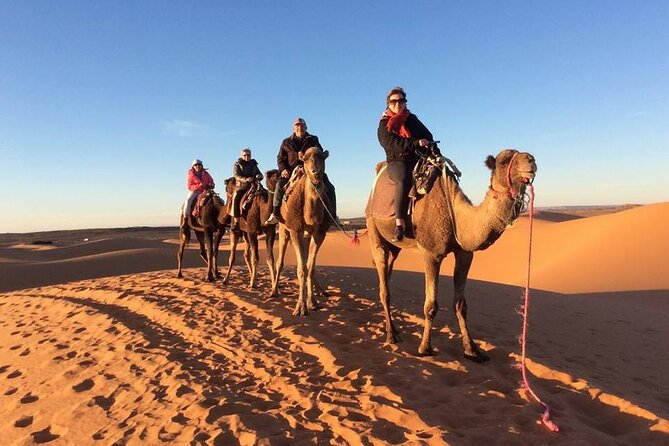 Shared Group 3 Days/2Nights: Fez to Marrakech Sahara Tour - Included in the Tour