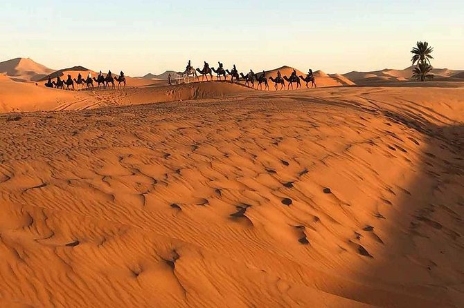 Shared Group Desert Tour From Marrakech to Fes 3 Days - Highlights of the Itinerary