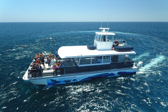 Shared Two-Hour Whale Watching Tour From Oceanside - Meeting Location and Details