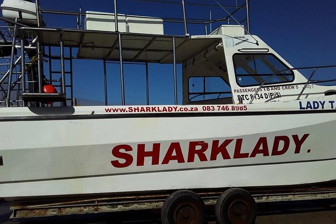 Shark Cage Diving - Daily Tour Schedule