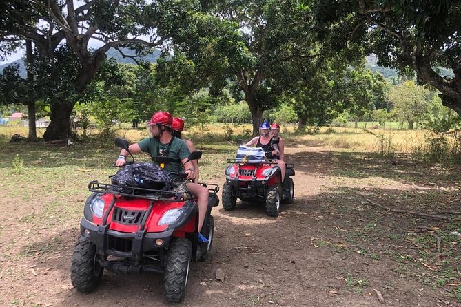 Shore Excursion: V.I.P. DayPass: ATV, Zip Lines, Horseback Riding & Lunch - Meeting Point and Pickup